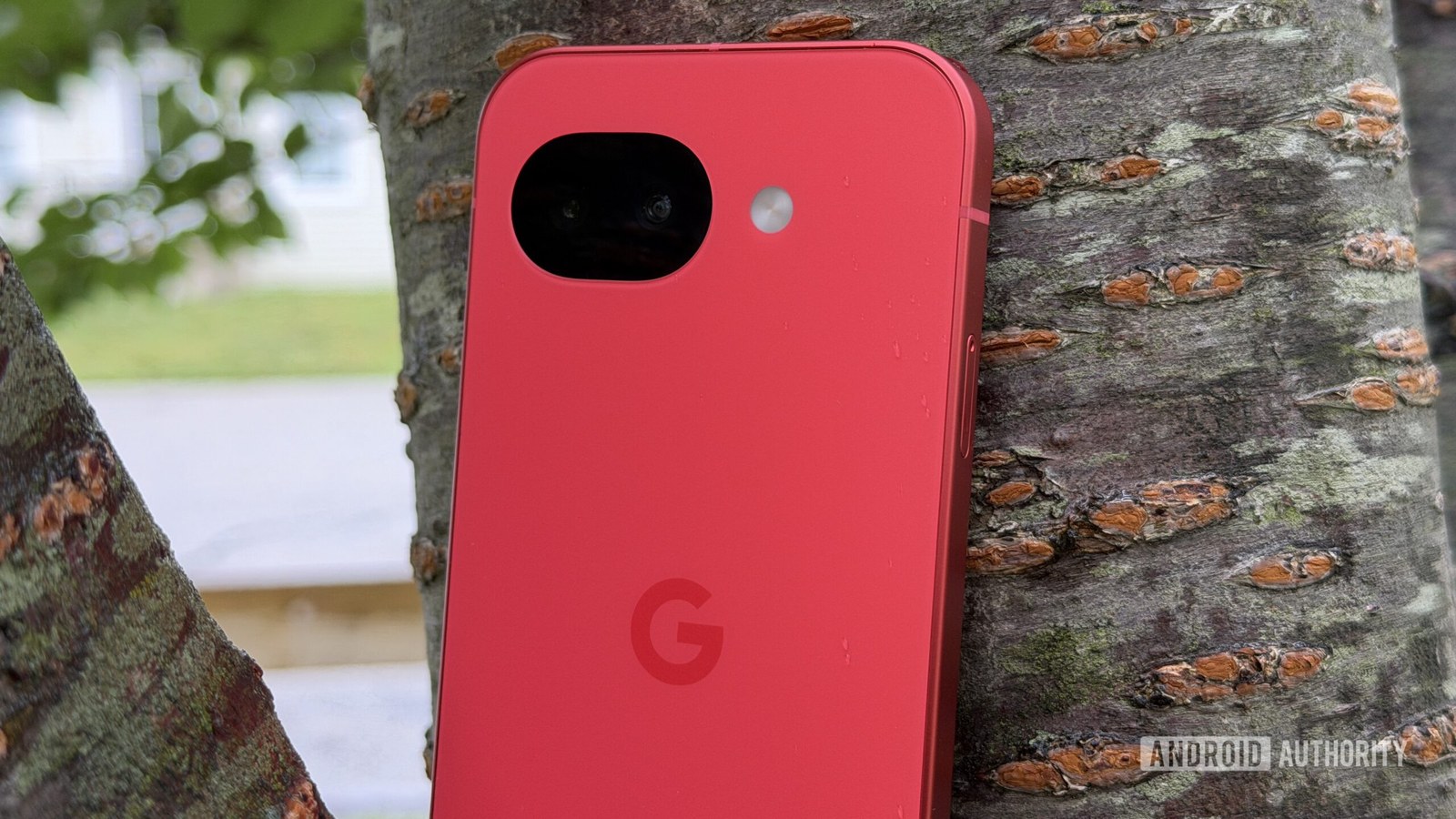 Google Pixel 10a Berry against tree