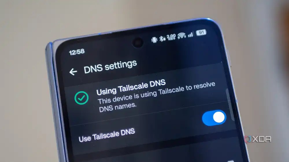 Smartphone screen displaying "DNS settings" with a toggle switch enabled for “Use Tailscale DNS.” Checkmark indicates active status.