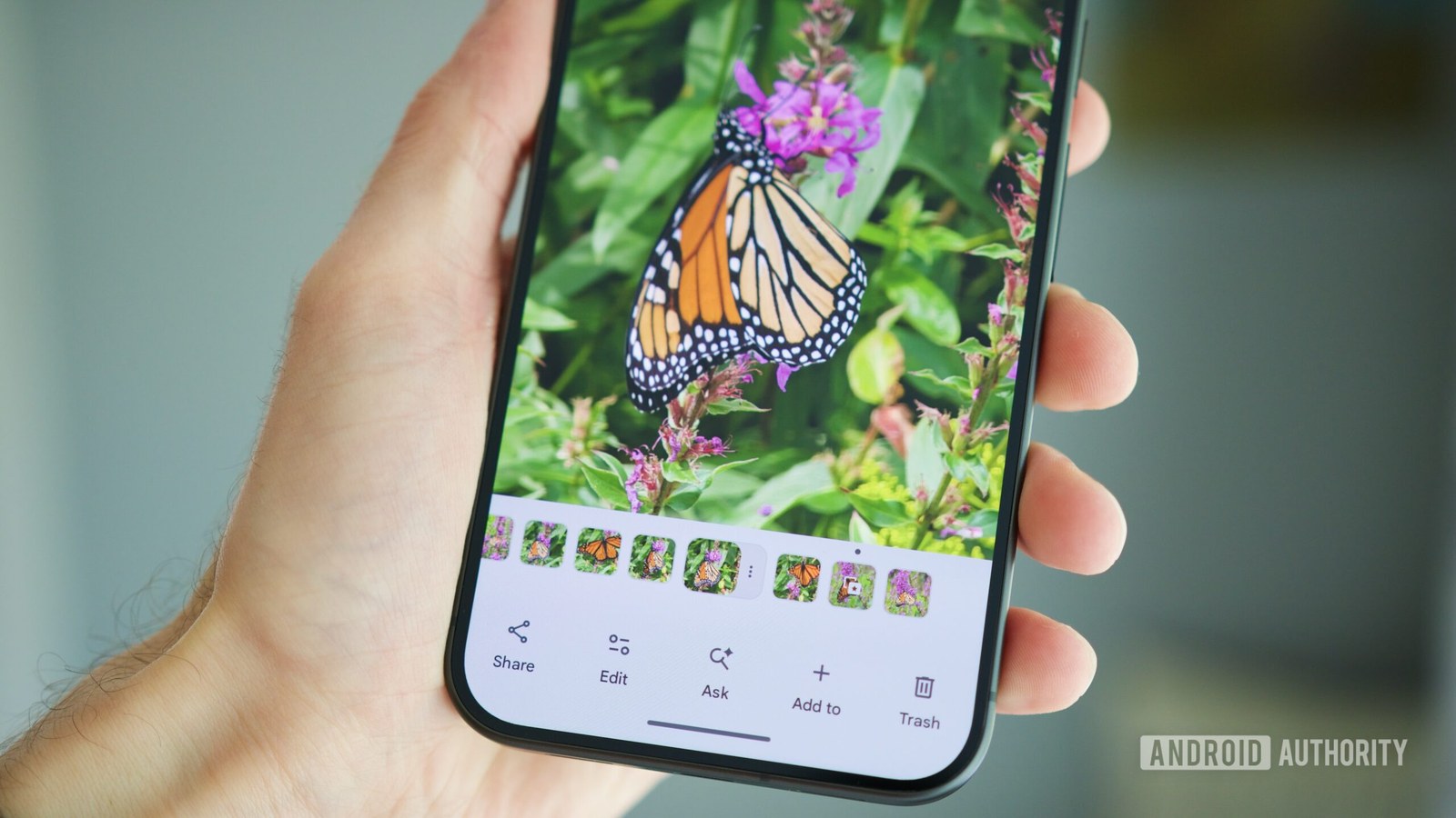 Stacked pictures in the Google Photos Android app.