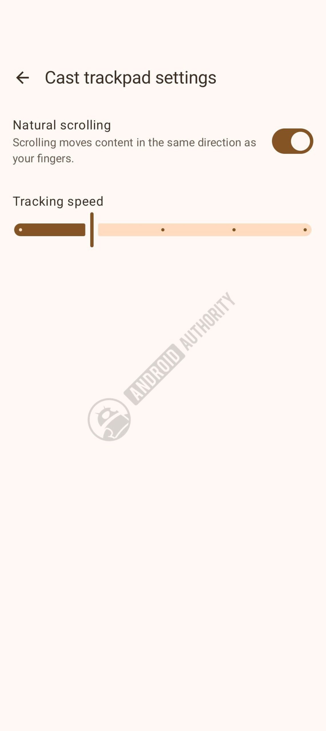 googlebook cast trackpad 2 watermarked