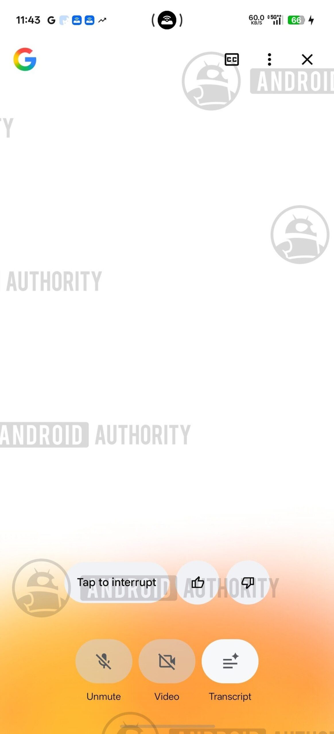 google search live animation image 1 watermarked