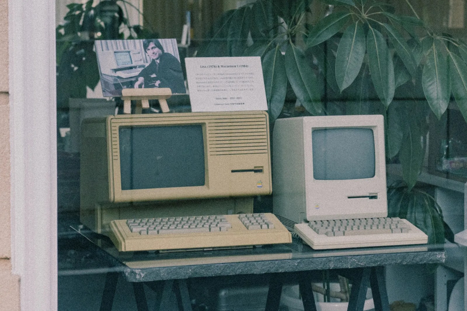 Disney Plus ve Hulu'dan Tekrar Fiyat Artışı: Premium Plan 13 Zıplıyor