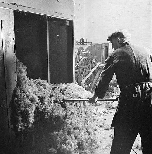 Inside a British factory, a textile worker rakes newly made 'shoddy' which was then combined with new wool to make new cloth