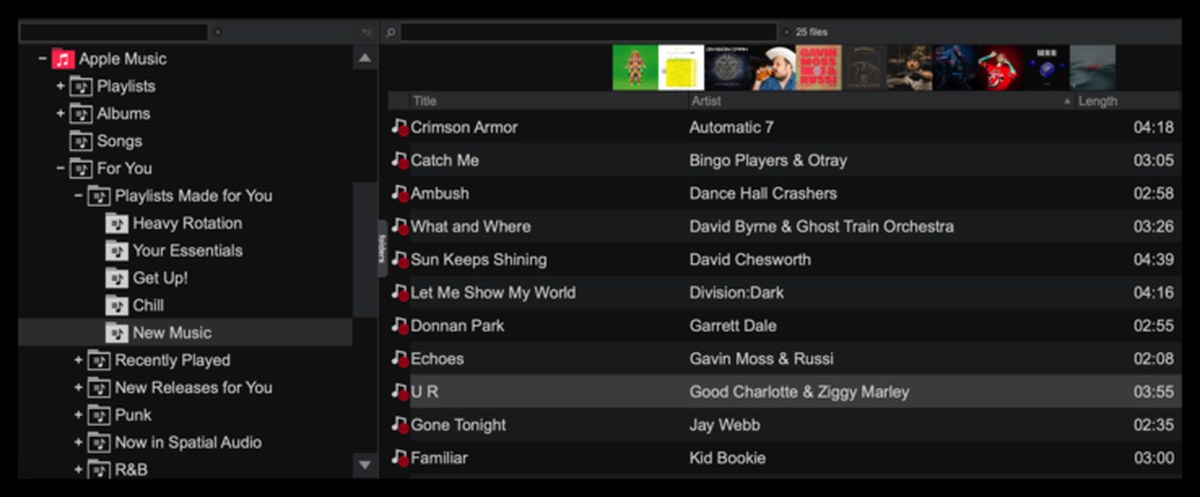 VirtualDJ Apple Music browser