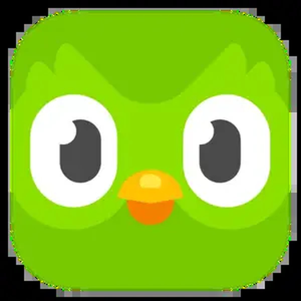 Duolingo-App