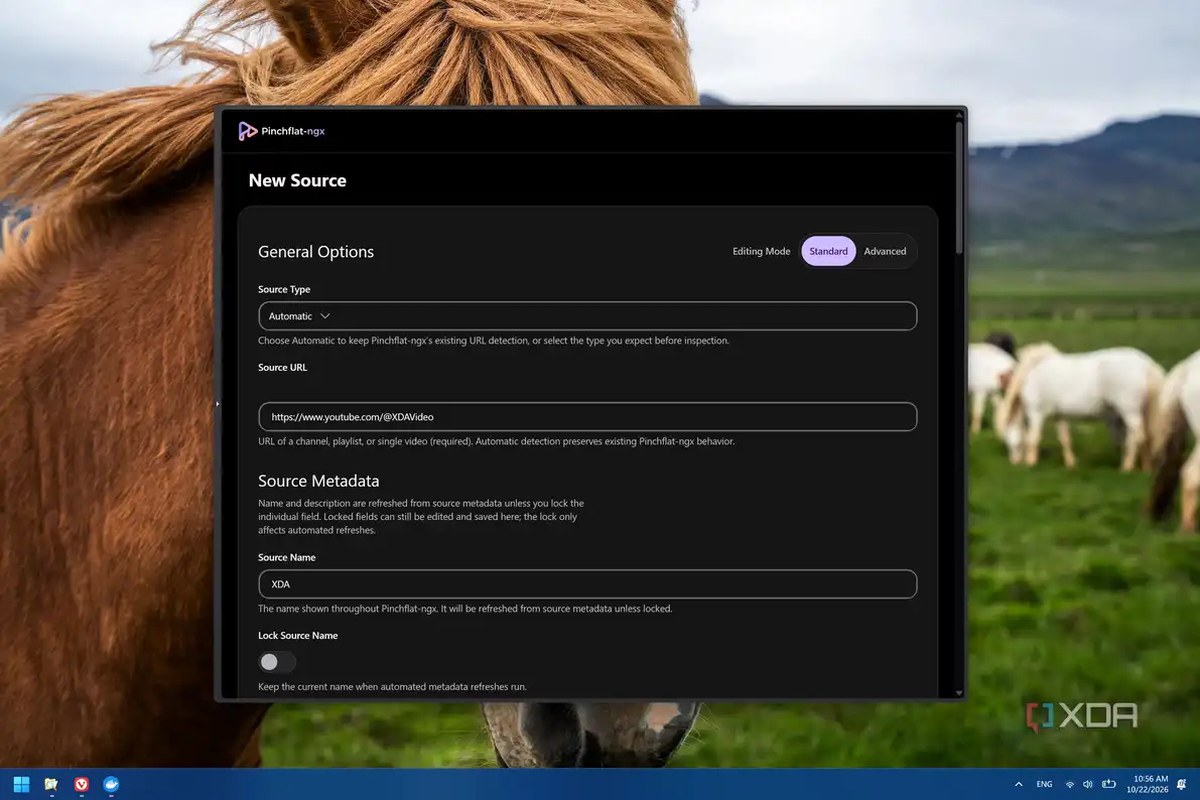 Screenshot of Pinchflat-ngx showing options for configuring a new source of media,