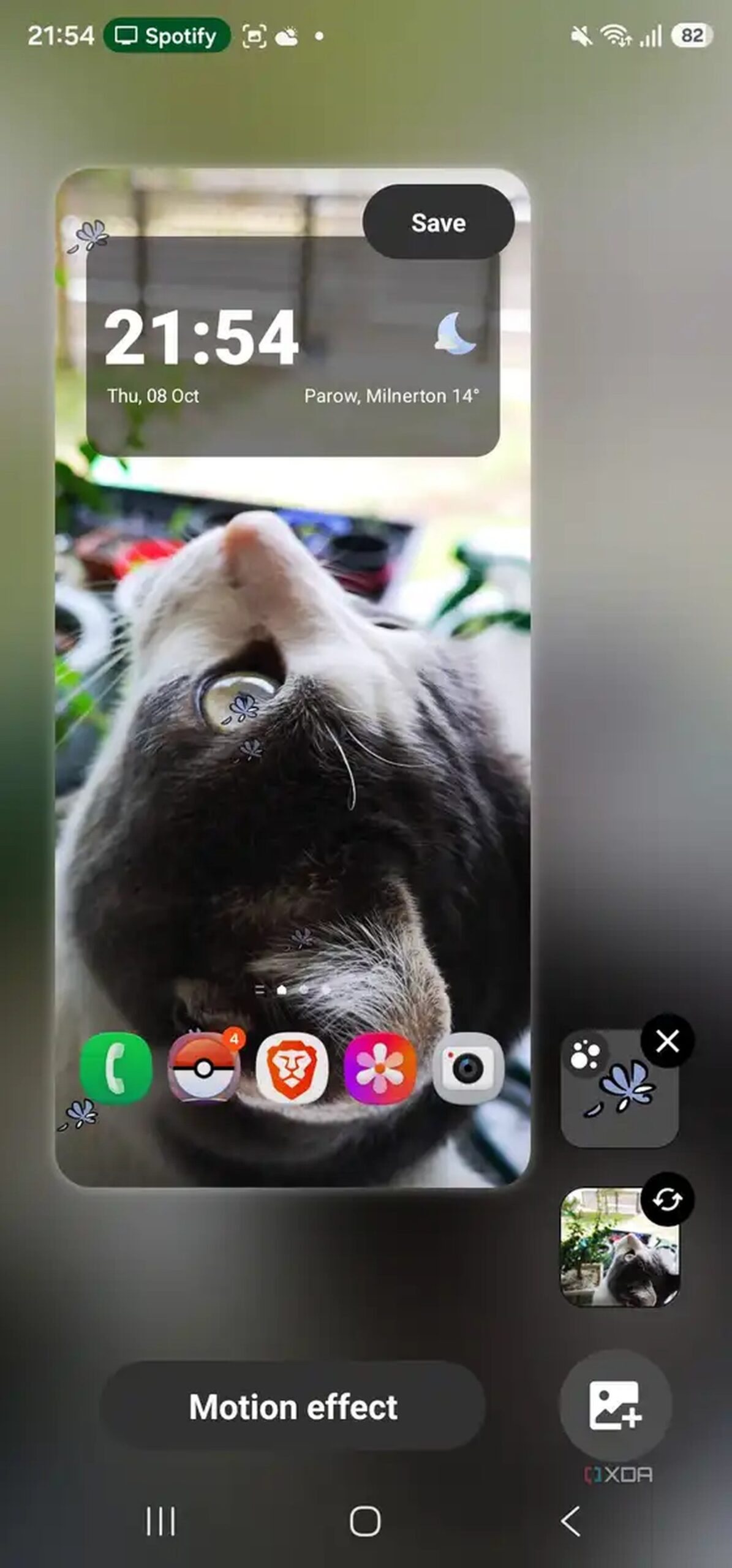 wallpaper in wonderland with one particle layer