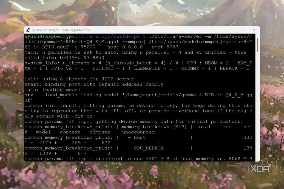 Running Gemma 4 E2B on the Raspberry Pi