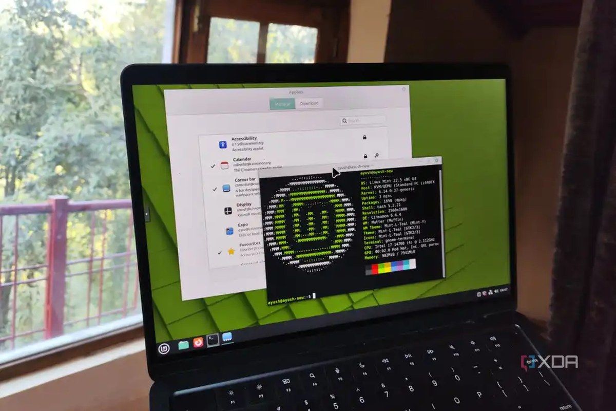 Accessing Linux Mint