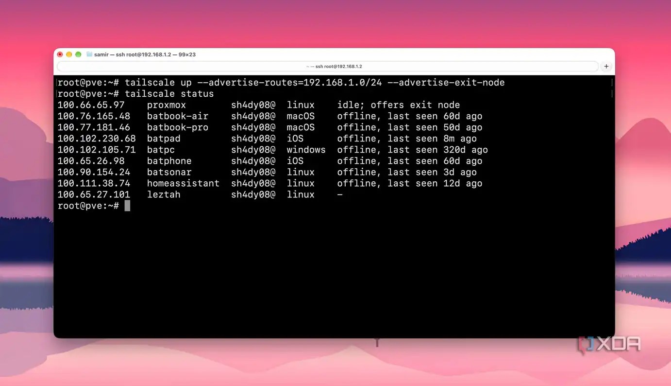 Checking Home server for Tailscale's exit node from Terminal